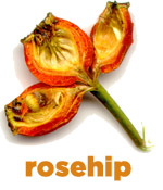 Pure Rosehip Seed Oil is packed with antioxidant vitamins A & E