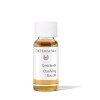 Trial Size Dr Hauschka Clarifying Day Oil