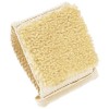 Forsters Sisal Aloe Natural Massage Brush