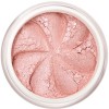 Pale pink shimmer in a natural loose mineral powder formulation.