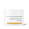 Dr Hauschka Lip Balm