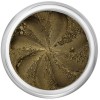 Matte dark olive brown in a natural loose mineral powder formulation.