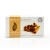 Revitalising Organic Soap